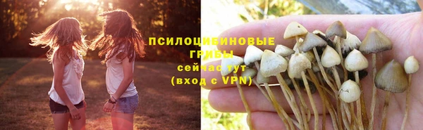 метадон Мегион