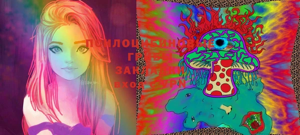 ECSTASY Алзамай