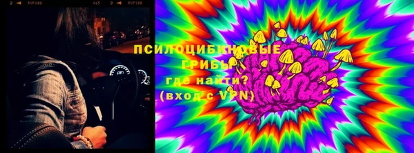 ECSTASY Алзамай