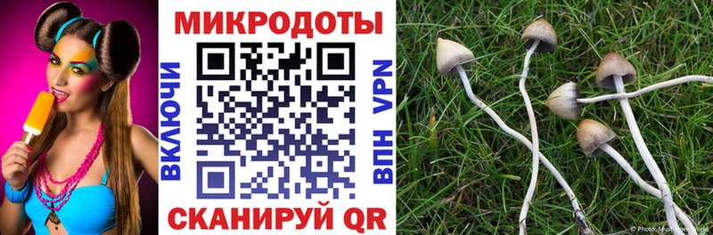 купить наркоту  Нарьян-Мар  Галлюциногенные грибы Psilocybine cubensis 